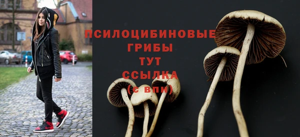 соль ск Кулебаки