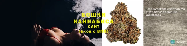 соль ск Кулебаки
