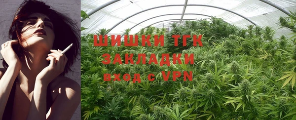 соль ск Кулебаки
