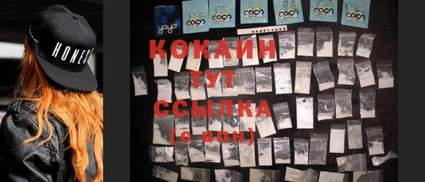 соль ск Кулебаки