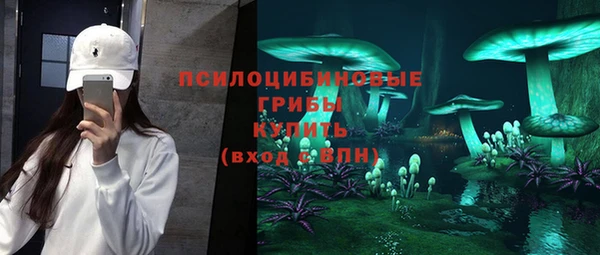 соль ск Кулебаки